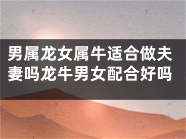 男属龙女属牛适合做夫妻吗龙牛男女配合好吗