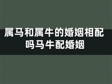 属马和属牛的婚姻相配吗马牛配婚姻