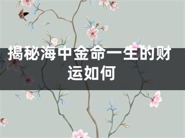 揭秘海中金命一生的财运如何