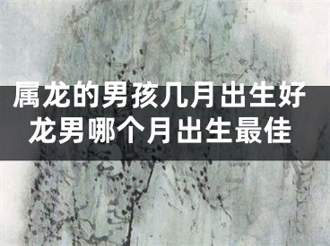 属龙的男孩几月出生好龙男哪个月出生最佳