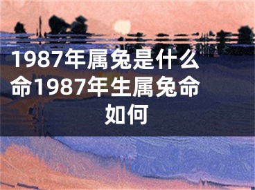 1987年属兔是什么命1987年生属兔命如何