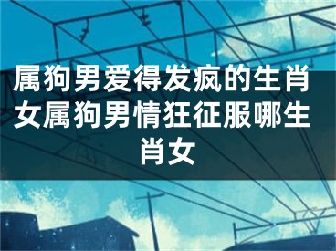 属狗男爱得发疯的生肖女属狗男情狂征服哪生肖女