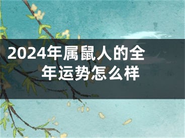 2024年属鼠人的全年运势怎么样