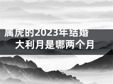 属虎的2023年结婚大利月是哪两个月
