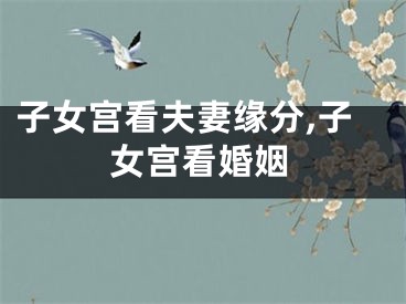 子女宫看夫妻缘分,子女宫看婚姻