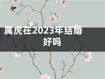 属虎在2023年结婚好吗