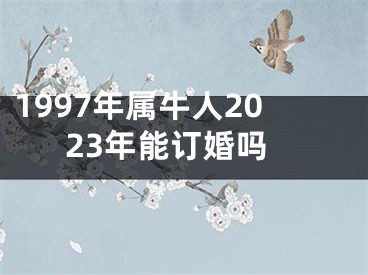 1997年属牛人2023年能订婚吗