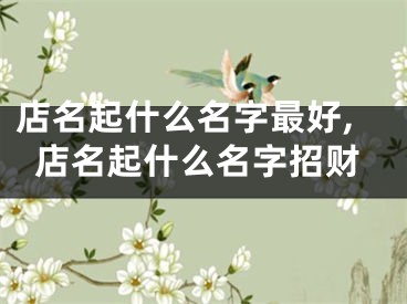 店名起什么名字最好,店名起什么名字招财