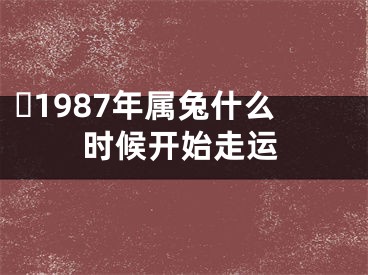 ​1987年属兔什么时候开始走运