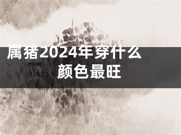 属猪2024年穿什么颜色最旺