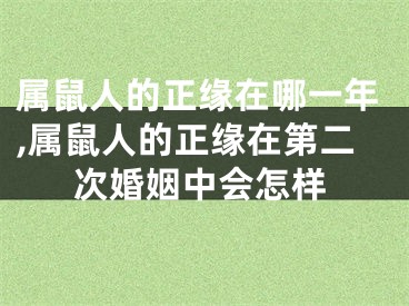 属鼠人的正缘在哪一年,属鼠人的正缘在第二次婚姻中会怎样