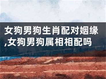 女狗男狗生肖配对姻缘,女狗男狗属相相配吗