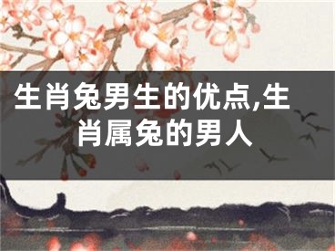 生肖兔男生的优点,生肖属兔的男人