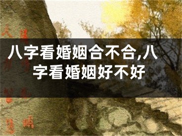 八字看婚姻合不合,八字看婚姻好不好