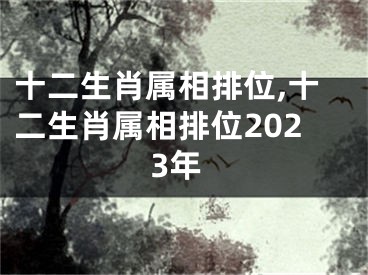 十二生肖属相排位,十二生肖属相排位2023年