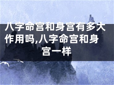 八字命宫和身宫有多大作用吗,八字命宫和身宫一样