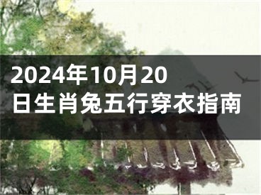 2024年10月20日生肖兔五行穿衣指南