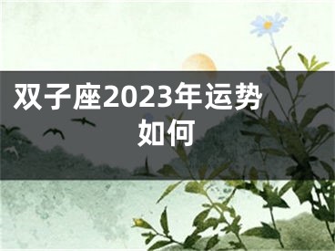 双子座2023年运势如何