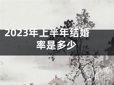 2023年上半年结婚率是多少