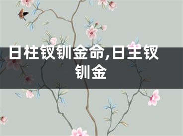 日柱钗钏金命,日主钗钏金