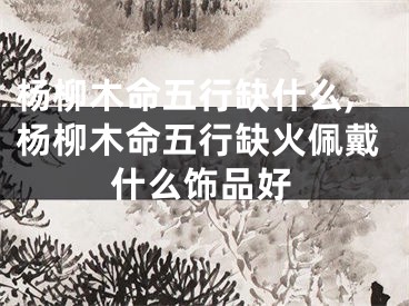 杨柳木命五行缺什么,杨柳木命五行缺火佩戴什么饰品好