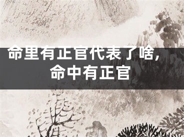命里有正官代表了啥,命中有正官