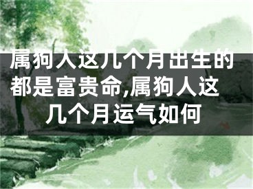 属狗人这几个月出生的都是富贵命,属狗人这几个月运气如何