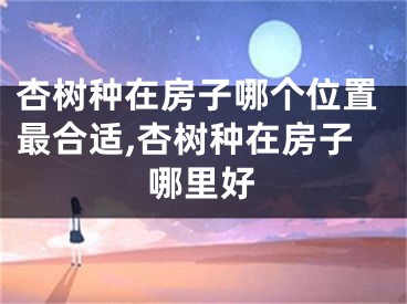 杏树种在房子哪个位置最合适,杏树种在房子哪里好