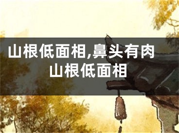 山根低面相,鼻头有肉山根低面相