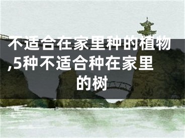 不适合在家里种的植物,5种不适合种在家里的树