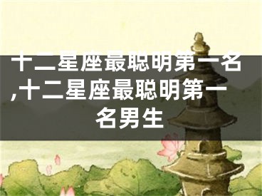 十二星座最聪明第一名,十二星座最聪明第一名男生