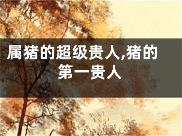 属猪的超级贵人,猪的第一贵人