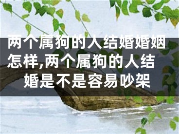 两个属狗的人结婚婚姻怎样,两个属狗的人结婚是不是容易吵架