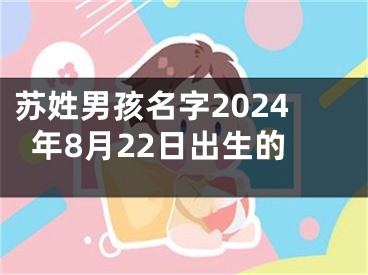 苏姓男孩名字2024年8月22日出生的