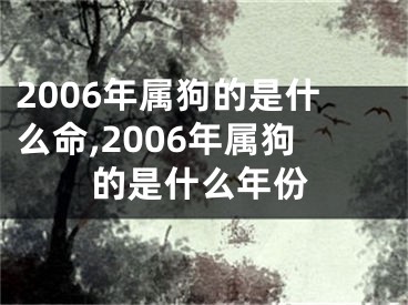 2006年属狗的是什么命,2006年属狗的是什么年份