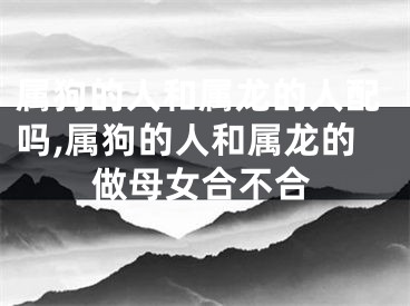 属狗的人和属龙的人配吗,属狗的人和属龙的做母女合不合