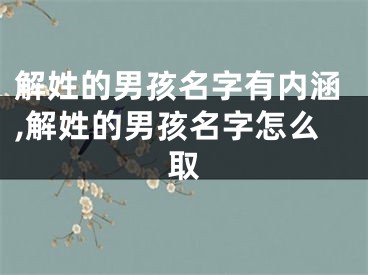 解姓的男孩名字有内涵,解姓的男孩名字怎么取