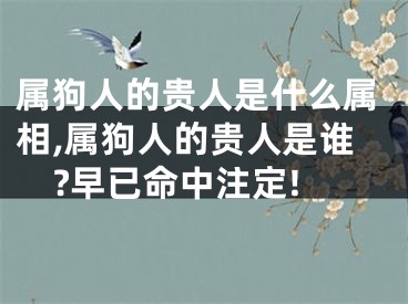 属狗人的贵人是什么属相,属狗人的贵人是谁?早已命中注定!