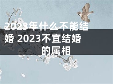 2023年什么不能结婚 2023不宜结婚的属相