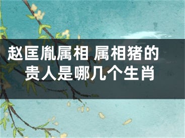 赵匡胤属相 属相猪的贵人是哪几个生肖