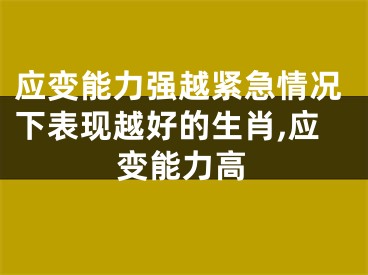 应变能力强越紧急情况下表现越好的生肖,应变能力高