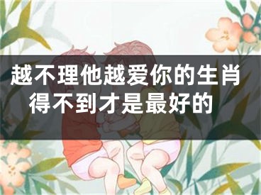 越不理他越爱你的生肖 得不到才是最好的