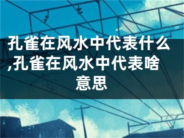 孔雀在风水中代表什么,孔雀在风水中代表啥意思