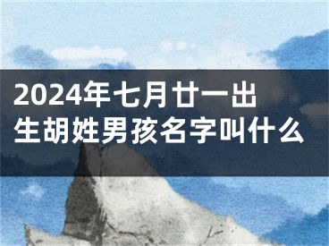 2024年七月廿一出生胡姓男孩名字叫什么