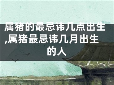 属猪的最忌讳几点出生,属猪最忌讳几月出生的人