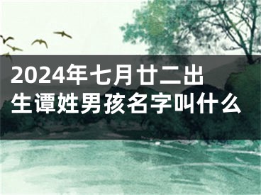 2024年七月廿二出生谭姓男孩名字叫什么