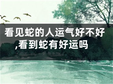 看见蛇的人运气好不好,看到蛇有好运吗