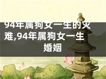 94年属狗女一生的灾难,94年属狗女一生婚姻