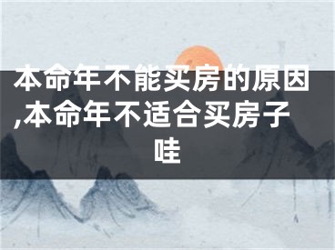 本命年不能买房的原因,本命年不适合买房子哇
