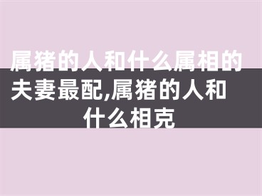 属猪的人和什么属相的夫妻最配,属猪的人和什么相克
